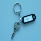 Einzelner Schlüssel mit Kunststoffschlüsselanhänger, auf dem sich handschriftlich das Wort Labor befindet. (Foto: Polizei)
