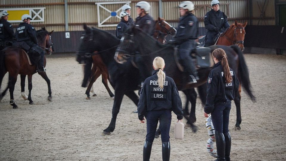 Landesreiterstaffel Zertifizierung 5