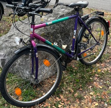 Auf dem Bild ist das Fahrrad des Unfallflüchtigen zu sehen